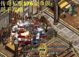 传奇私服176金币版：新手攻略