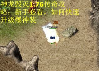 神龙毁灭1.76传奇攻略：新手必看，如何快速升级爆神装