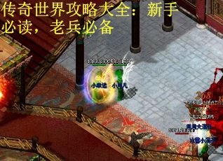 传奇世界攻略大全：新手必读，老兵必备